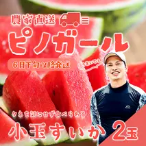 【 先行予約 2026年6月下旬以降発送 】八千代町産 小玉スイカ ピノガール 1箱（2玉入） タネが小さい すいか [SF005ya]