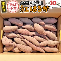 【 訳あり 】 八千代町産 熟成小芋 紅はるか 生芋 土付き 10kg さつまいも サツマイモ 芋 イモ ふるさと納税 6000円 訳アリ [AX054ya]