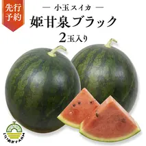 【 令和8年産 】【 先行予約 】小玉 スイカ 姫甘泉ブラック 1箱 2玉入り すいか 黒 西瓜 数量限定 甘い 夏 果物 [CG005ya]