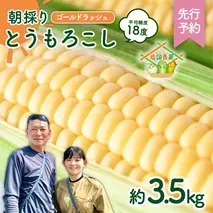 【先行予約 2026年6月中旬以降発送 】 【 令和8年産 】  朝採り とうもろこし （ ゴールドラッシュ ） 約 3.5kg トウモロコシ 朝採り 甘い 新鮮 スイートコーン コーン 野菜 極甘 岩田さん 2025 [AX058ya]