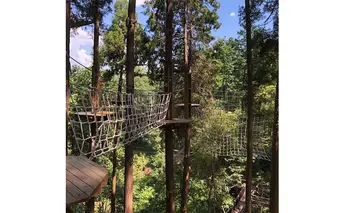 冒険の森inおうじ　アドベンチャーコース2名様チケット 入場券 優待券 体験チケット 