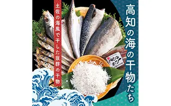 SST002　高知の海の干物たち＜土佐の海風で干した抜群の干物を＞＜高知市・南国市共通返礼品＞