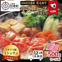 【定期便 12カ月】 北海道 白老産 黒毛和牛 リブロース すき焼き 500ｇ (2・3人前)