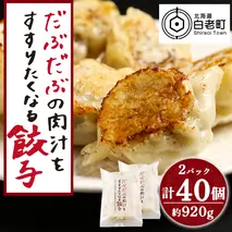 だぶだぶの肉汁をすすりたくなる餃子 40個（20個入×2パック）