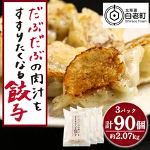 だぶだぶの肉汁をすすりたくなる餃子 90個（30個入×3パック）