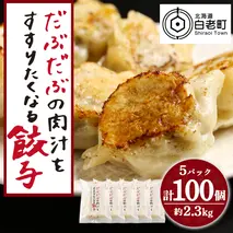 だぶだぶの肉汁をすすりたくなる餃子 100個（20個入×5パック）