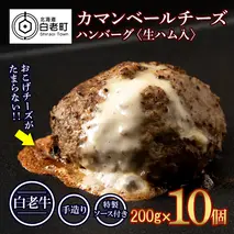 北海道産 白老牛 カマンベールチーズハンバーグ 10個セット 冷凍 チーズ イン ハンバーグ