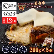 定期便12カ月 お楽しみ 白老牛 Ｗチーズ ハンバーグ セット 5個 モッツァレラ 特製ソース ベーコン 手造り BY090
