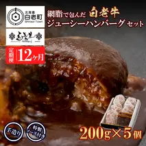 定期便12カ月 お楽しみ 白老牛 ジューシー ハンバーグ セット 5個 網脂 特製ソース 手造り 手ごね BY099