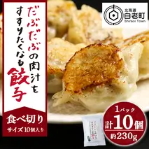 だぶだぶの肉汁をすすりたくなる餃子 10個（10個入×1パック）