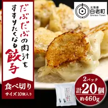 だぶだぶの肉汁をすすりたくなる餃子 20個（10個入×2パック）