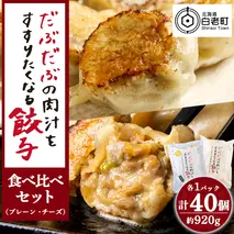 だぶだぶの肉汁をすすりたくなる餃子 食べ比べセット 40個（プレーン・チーズ 各20個） ぎょうざ 冷凍 ギョウザ おつまみ おかず 中華 惣菜 チーズ
