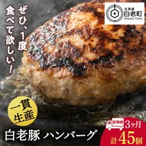 【定期便 3カ月】 北海道産 白老豚 ハンバーグ 120ｇ×15個 セット 冷凍 洋食 おかず