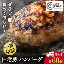【定期便 3カ月】 北海道産 白老豚 ハンバーグ 120ｇ×20個 セット 冷凍 洋食 おかず