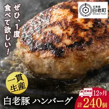 【定期便 12カ月】 北海道産 白老豚 ハンバーグ 120ｇ×20個 セット 冷凍 洋食 おかず
