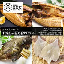 低温熟成 一夜干し お楽しみ 詰め合わせ