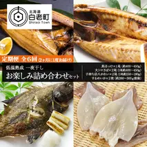 2ヶ月に1度 定期便 全6回 低温熟成 一夜干し お楽しみ 詰め合わせ
