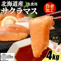 北海道産 サクラマス ロイン 4kg 生食可〈小田切水産〉 桜鱒 さくらます 北海道
