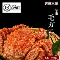 大サイズ！冷凍毛がに約650g×1尾【斉藤水産】