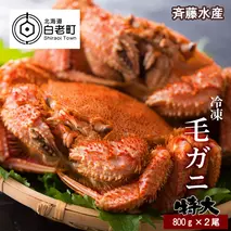 特大サイズ！冷凍毛がに約800g×2尾【斉藤水産】