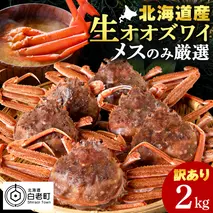 北海道産 生大ズワイガニ メス 2kg ずわいがに 蟹 〈斉藤水産〉