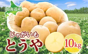 じゃがいも とうや 10kg 2025年9月上旬~12月中旬までお届け ジャガイモ 芋 甘い ホクホク なめらか ポテト カレー 調理 料理 煮込み料理 旬 野菜 お取り寄せ 北海道 洞爺湖町
