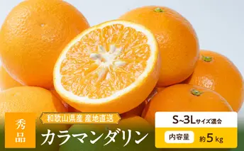 ZE6501_【2026年先行予約】和歌山県産　カラマンダリン　5kg　秀品