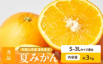 ZE6504_【2026年先行予約】和歌山県産　夏みかん　3kg　秀品