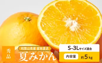 ZE6505_【2026年先行予約】和歌山県産　夏みかん　5kg　秀品