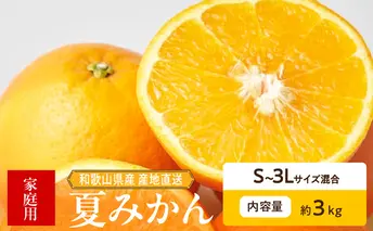 ZE6506_【2026年先行予約】和歌山県産　夏みかん　3kg　家庭用