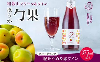 KG1007_ワインカクテル スパークリング 勹果 ほうか 紀州うめ＆赤ワイン 375ml 2本 湯浅ワイナリー