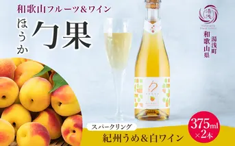 KG1008_ワインカクテル スパークリング 勹果 ほうか 紀州うめ＆白ワイン 375ml 2本 湯浅ワイナリー