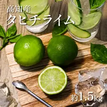 TSF001-1　タヒチライム 約1.5kg ライム 国産 種なし 柑橘類 かんきつ類 防腐剤不使用 ノーワックス 新鮮 冷蔵 家庭用 果物 くだもの フルーツ 芸西村 高知県産