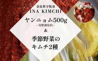 ヤンニョム500g ＆季節野菜のキムチ2種（各500g）／ ふるさと納税 キムチ ヤンニョムソース 赤キムチ 白キムチ 料理 グルメ INA Lab INA KIMCHI 取り寄せ 室生 奈良県 宇陀市