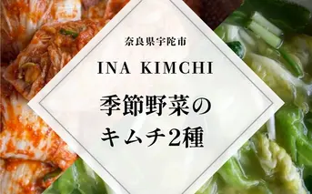 季節野菜のキムチ500g×2種類／ ふるさと納税 キムチ ふるさと 白菜 キャベツ 大根 赤キムチ 白キムチ 料理 グルメ INA Lab INA KIMCHI 取り寄せ 室生 奈良県 宇陀市