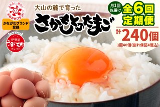 [定期便／6ヶ月] 月1回 さかもとのたまご 40個 (36個＋割れ保証4個) 合計240個｜坂本養鶏 大山の麓で育ったさかもとのたまご 赤玉卵 玉子 鶏卵 伊勢原市 赤玉卵 玉子 生卵 国産 TKG タマゴ 新鮮 大山 鶏 ギフト 安心 安全 親子丼 卵焼き 目玉焼き お菓子[0390b]