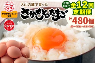 [定期便／6ヶ月] 月2回 全12回 さかもとのたまご 40個 (36個＋割れ保証4個) 合計480個｜坂本養鶏 大山の麓で育ったさかもとのたまご 赤玉卵 玉子 鶏卵 伊勢原市 赤玉卵 玉子 生卵 国産 TKG タマゴ 新鮮 大山 鶏 ギフト 安心 安全 親子丼 卵焼き 目玉焼き お菓子 [0393b]