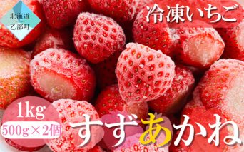 ＜山科農園の冷凍すずあかね　1kg＞北海道 道産 いちご イチゴ すずあかね 夏いちご