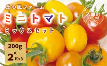 ＜丘の風ファーム ミニトマトミックス2パックセット＞