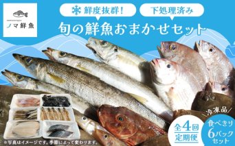 【定期便】鮮度抜群！旬の鮮魚おまかせセット 食べきり6パック セット｜定期便 4回 海鮮 鮮魚 魚 下処理済 新鮮 海鮮盛り合わせ 詰め合わせ 人気 おすすめ 愛知県 美浜町 ※北海道・沖縄・離島への配送不可