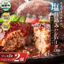塩仕込みハンバーグ 2個入り 黄金しょうがソース付 1袋 美鮮豚 びせんとん 生姜 田野屋青蜂 白鯆 完全天日塩 肉 お肉 国産牛 四万十ポーク おかず 惣菜 ジューシー おいしい 洋食 お取り寄せ 冷凍 配送 高知県 田野町