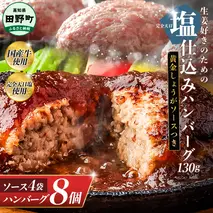 塩仕込みハンバーグ 8個入り 黄金しょうがソース付 4袋 美鮮豚 びせんとん 生姜 田野屋青蜂 白鯆 完全天日塩 肉 お肉 国産牛 四万十ポーク おかず 惣菜 ジューシー おいしい 洋食 お取り寄せ 冷凍 配送 高知県 田野町