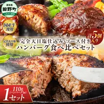 食べ比べ！完全天日塩仕込みハンバーグ3種各1個セット 田野屋青蜂 白鯆 完全天日塩 特製デミグラス 黄金しょうがソース付き 肉 お肉 おかず 惣菜 ジューシー おいしい 洋食 お取り寄せ 冷凍 配送 高知県 田野町