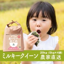 新米【令和7年産】稲敷市産 ミルキークイーン 20kg (5kg×4) 農家直送｜米 こめ コメ ごはん ご飯 [1633]