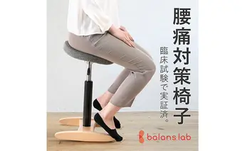 バランス シナジー(カバーなし) 椅子 腰痛 対策 イス バランスラボ 岐阜県 美濃市　シックブラウン/ラウンドシート