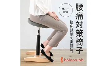 バランス シナジー(カバー付き) 椅子 腰痛 対策 イス カバー バランスラボ 岐阜県 美濃市　シックグレー/ラウンドシート/ベージュ