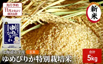 【先行予約2025年産米・11月上旬より順次出荷】玄米 北海道赤平産 ゆめぴりか 5kg 特別栽培米 米 北海道 お米 ふるさと納税 