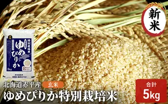 玄米 北海道赤平産 ゆめぴりか 5kg 特別栽培米 米 北海道 お米 ふるさと納税 