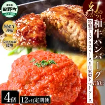 幻のあかうし和牛ハンバーグ 4個入り 12ヶ月定期便 1個130g 特製デミソース トマトソース付き 田野屋青蜂 白鯆 完全天日塩練り込み 肉 お肉 国産牛 おかず おいしい お取り寄せ 冷凍 配送 高知県 田野町