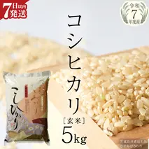 ≪ 令和7年度 新米 ≫ コシヒカリ 玄米5kg（5kg×1袋）（茨城県共通返礼品 かすみがうら市産） 新米 米 ごはん もっちり 甘い コメ お米 白米 銘柄米 [EX011sa]